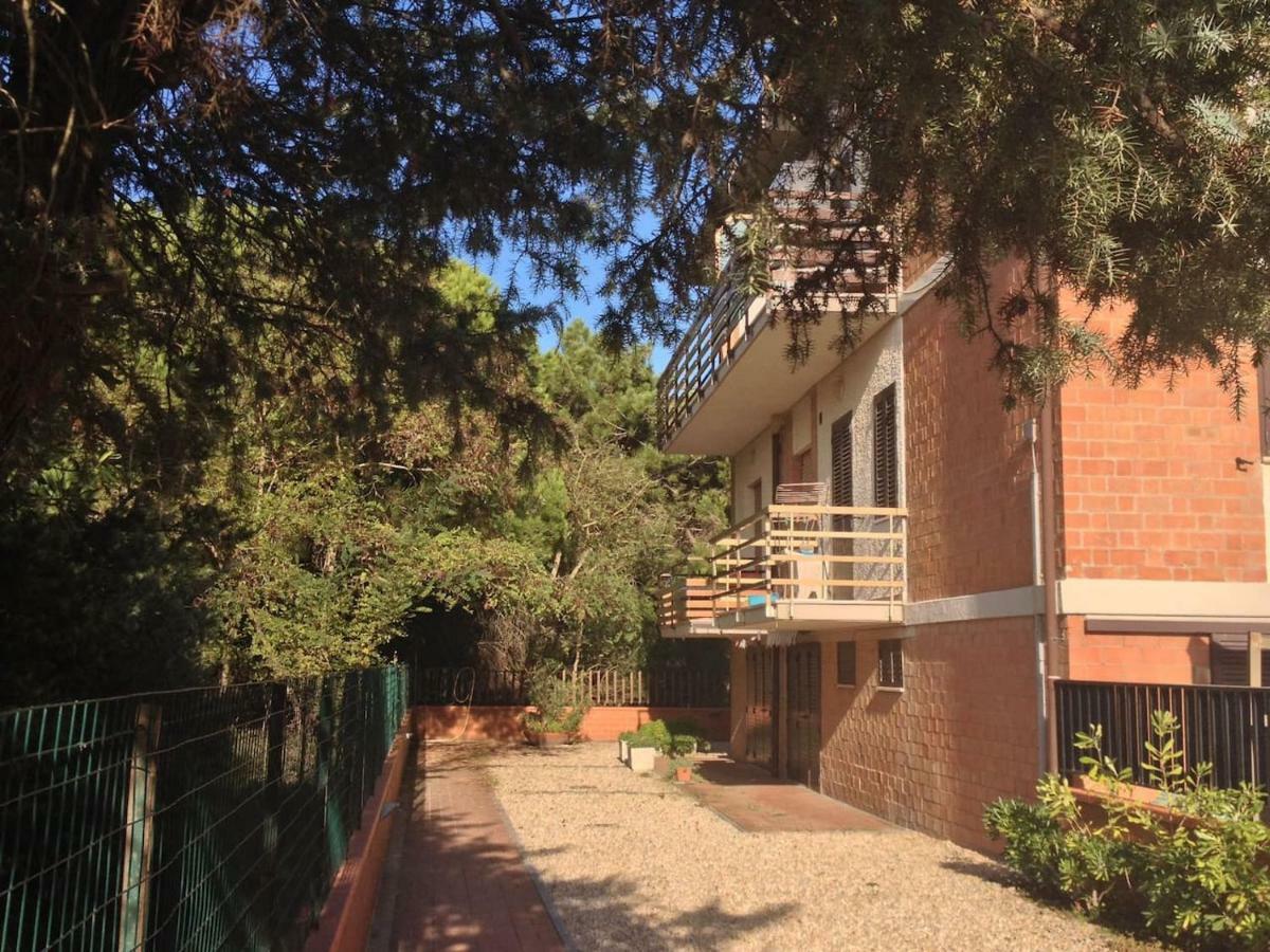 Bilocale A 40 Mt. Dalla Spiaggia Circondato Dalla Pineta Marina di Grosseto Exterior foto
